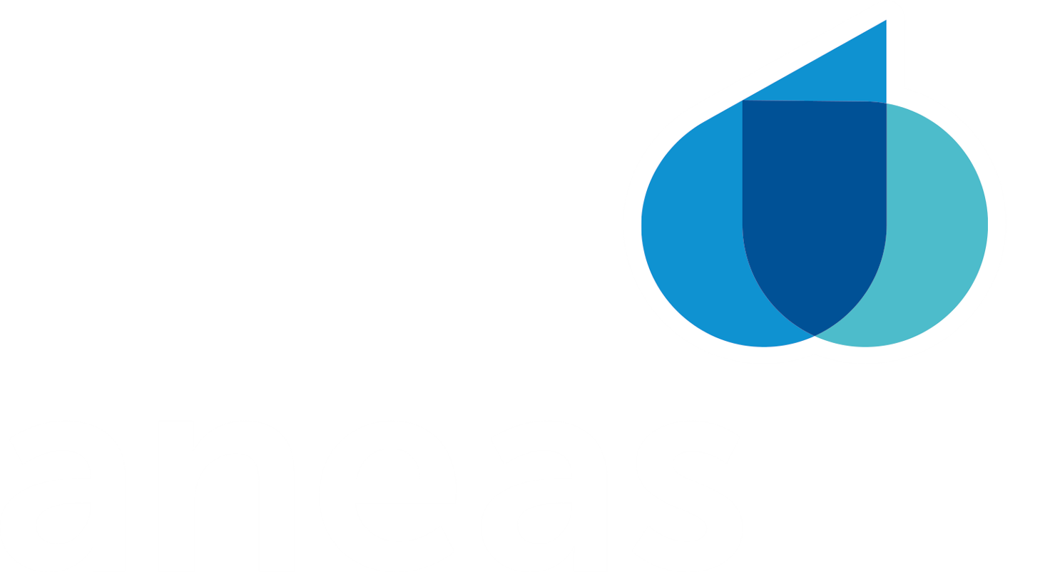 ANEAS