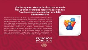 Artículo 49 Ley General de Responsabilidades